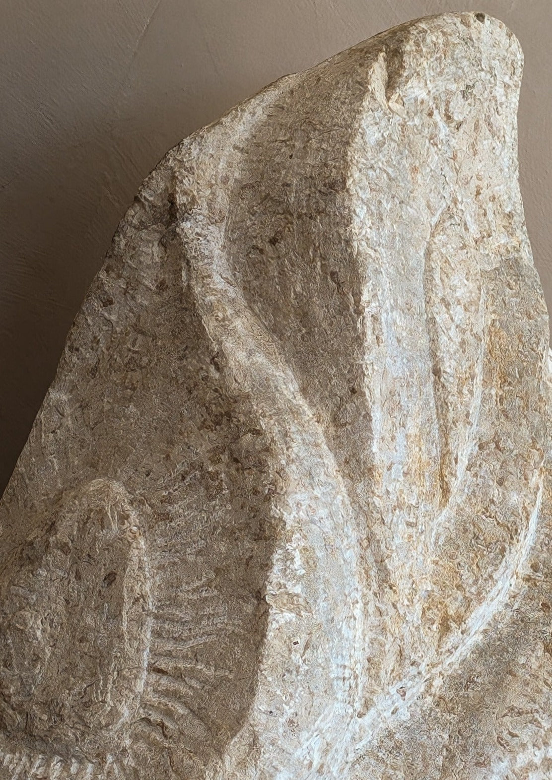 Pair of Heavy Hand-carved Abstract Biomorphic Stone Sculptures