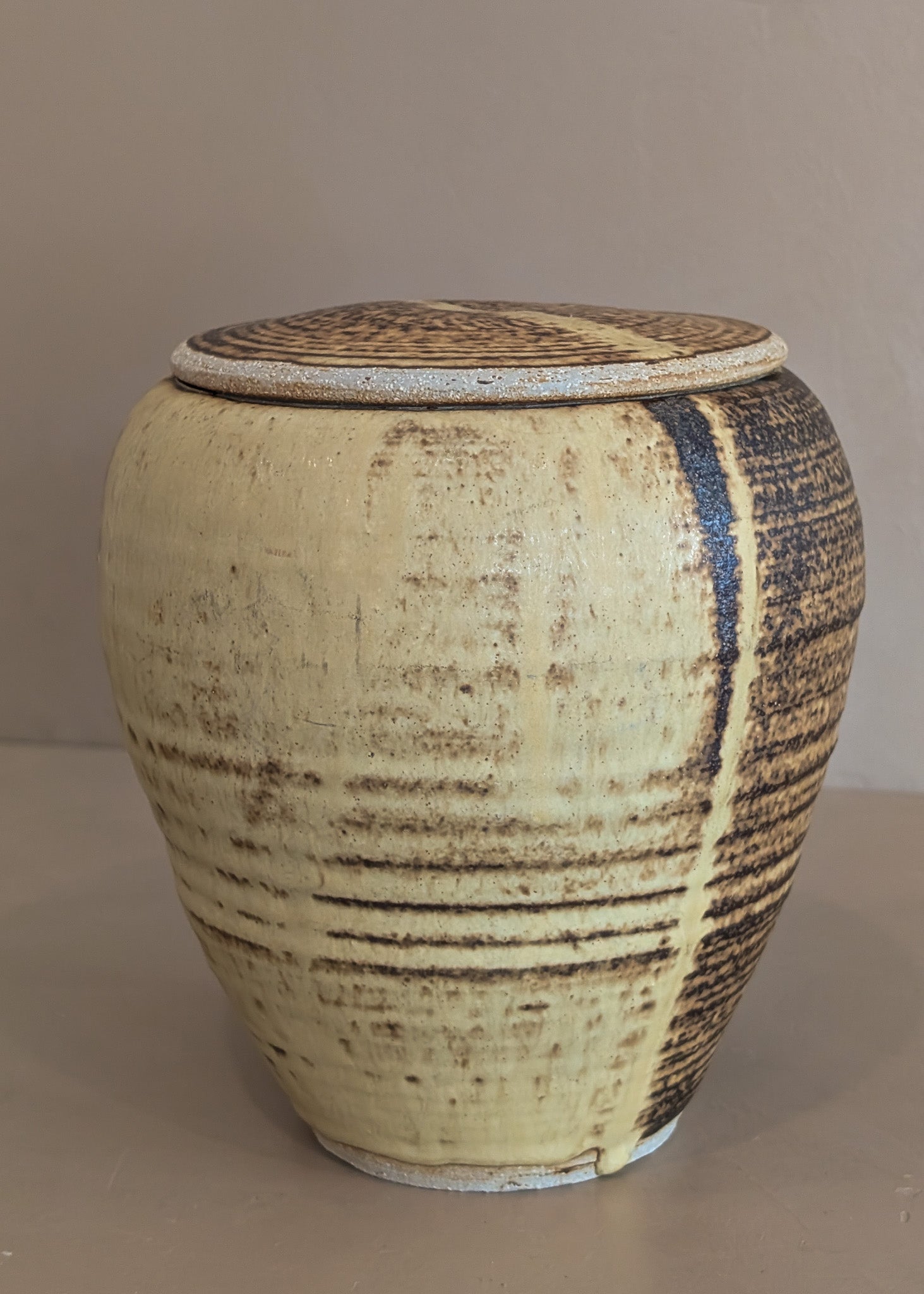 Textured Neutral Flat Lidded Studio Pottery Vase