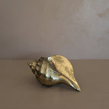 Large Vintage Brass Conch Shell