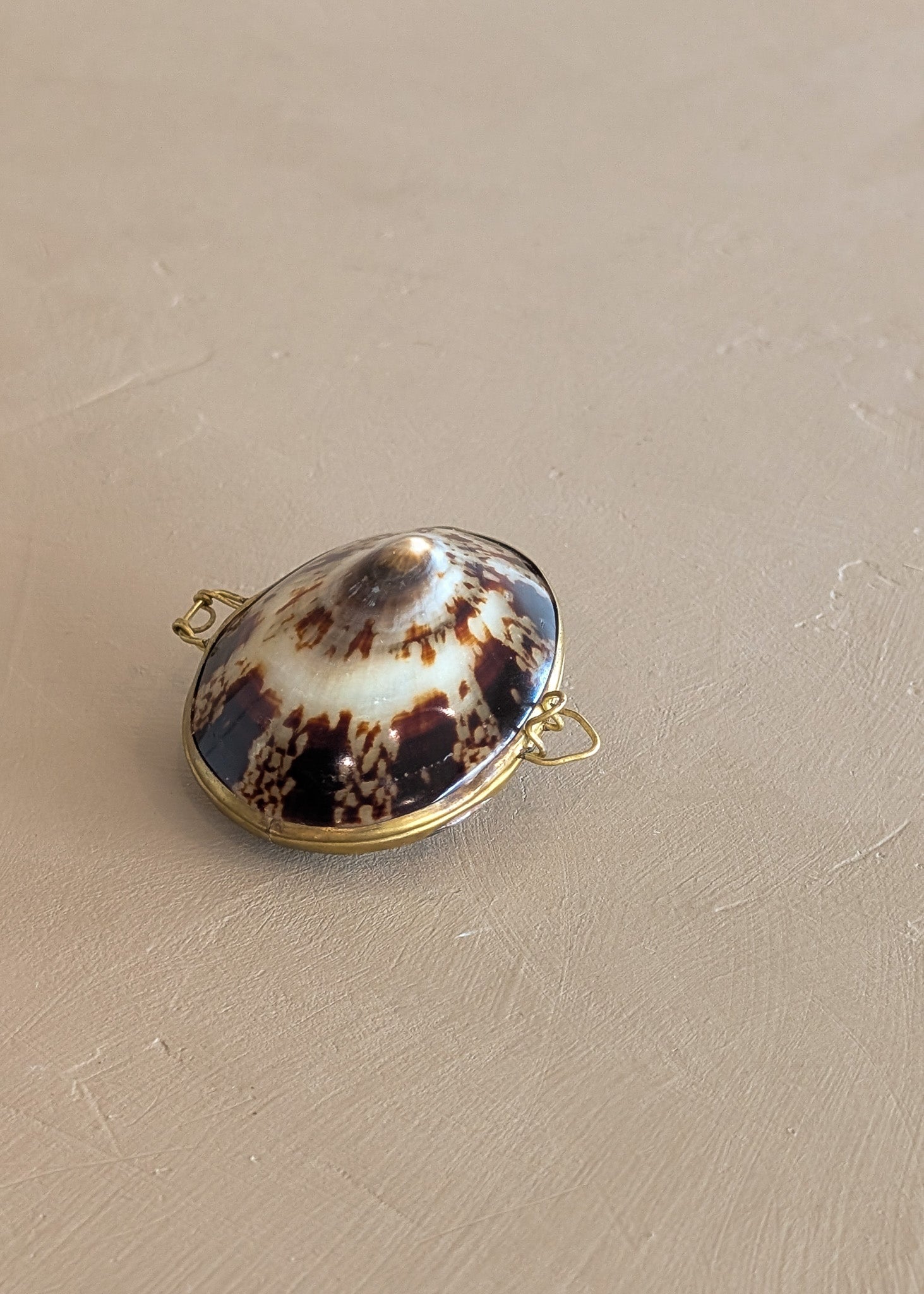 Polished Limpet Shell Trinket Box