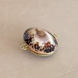 Polished Limpet Shell Trinket Box