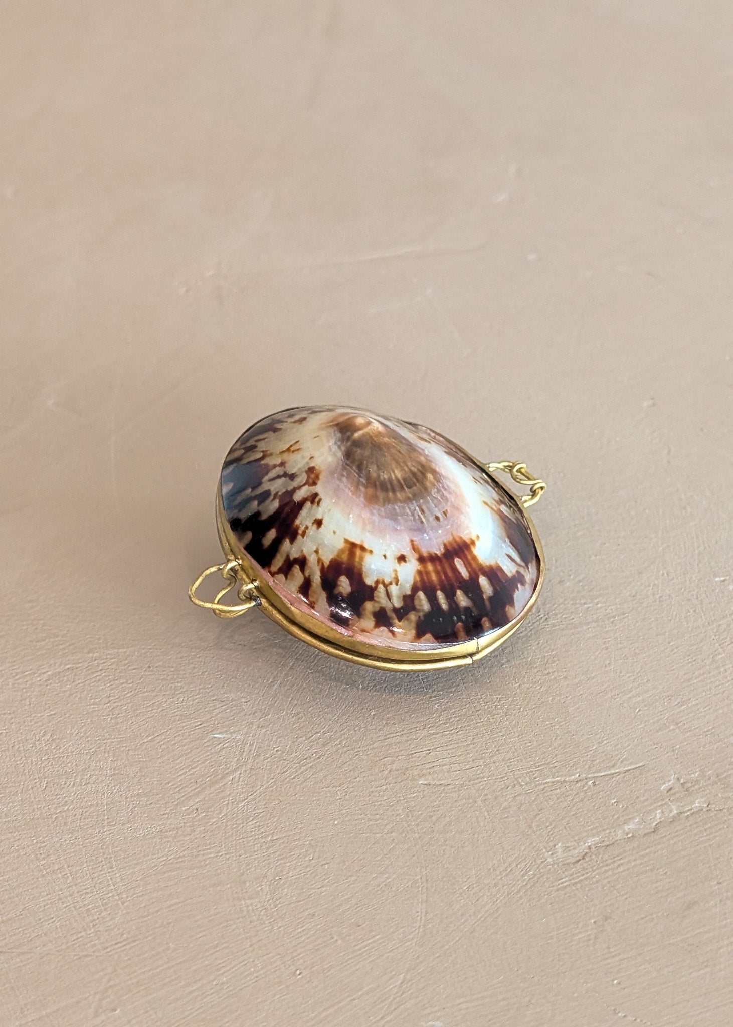 Polished Limpet Shell Trinket Box