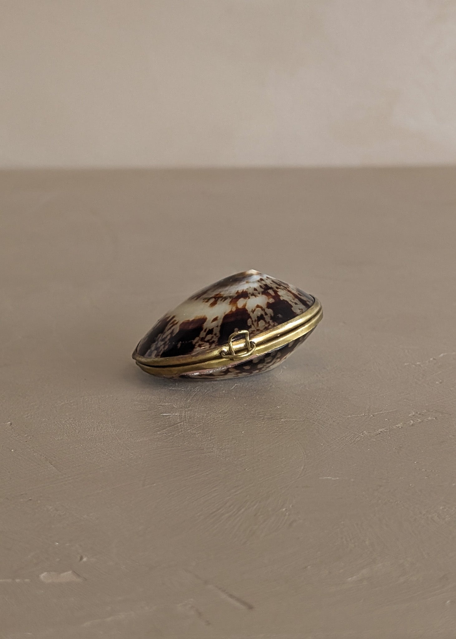 Polished Limpet Shell Trinket Box