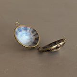 Polished Limpet Shell Trinket Box