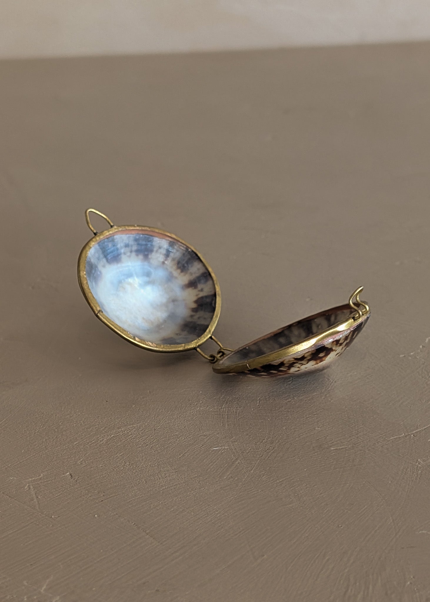 Polished Limpet Shell Trinket Box