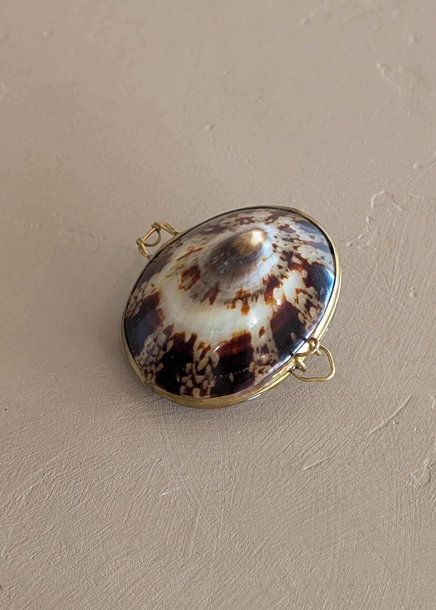 Polished Limpet Shell Trinket Box