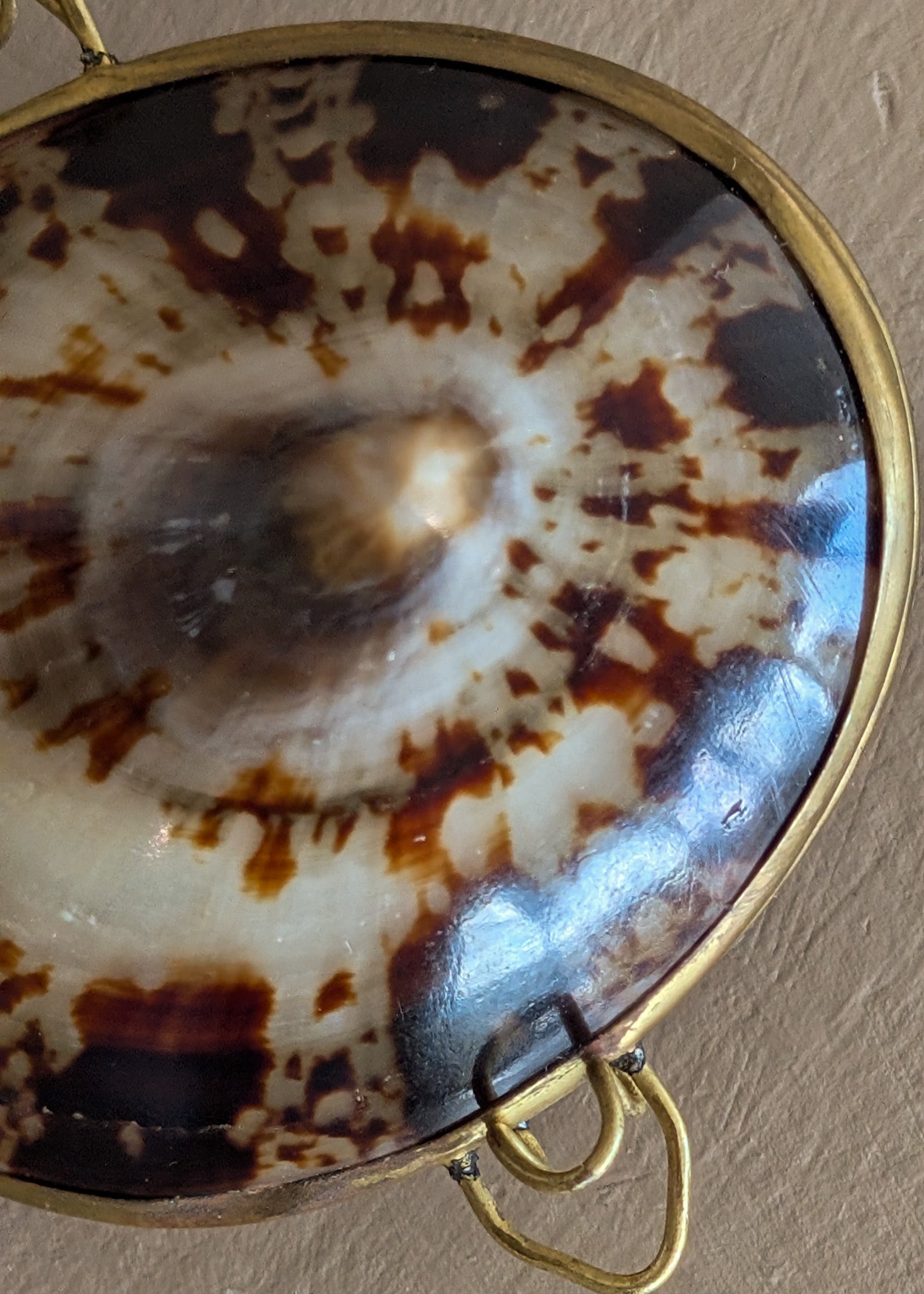 Polished Limpet Shell Trinket Box