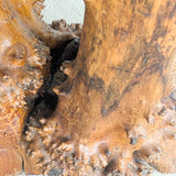 Vintage Burl Wood Console or Tall Side Table with Burl Root Base