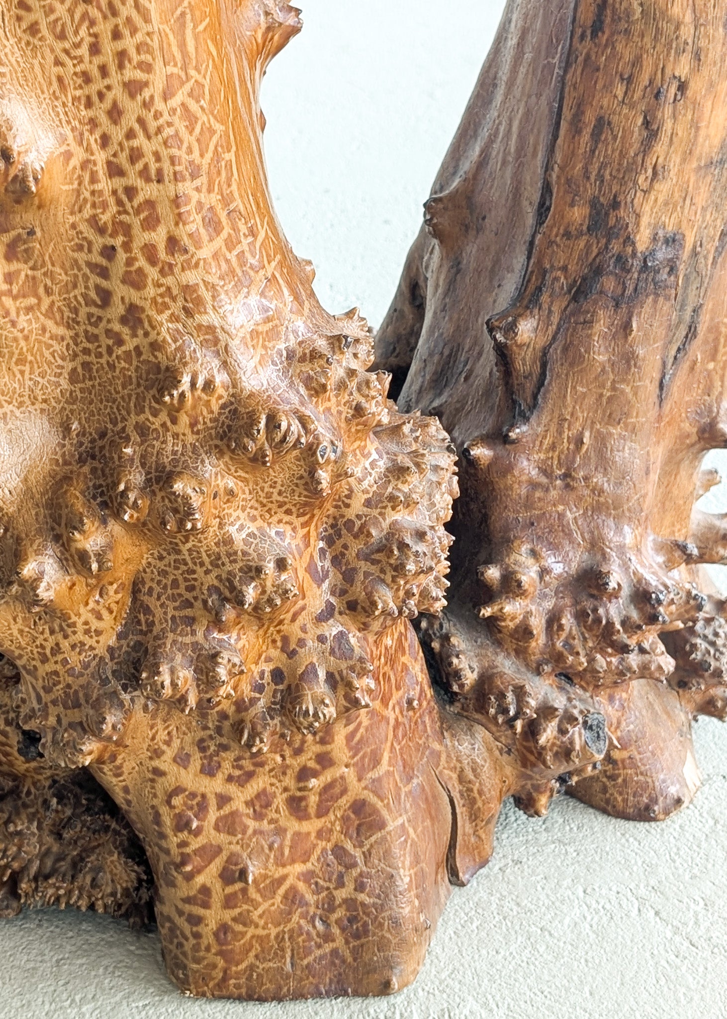 Vintage Burl Wood Console or Tall Side Table with Burl Root Base