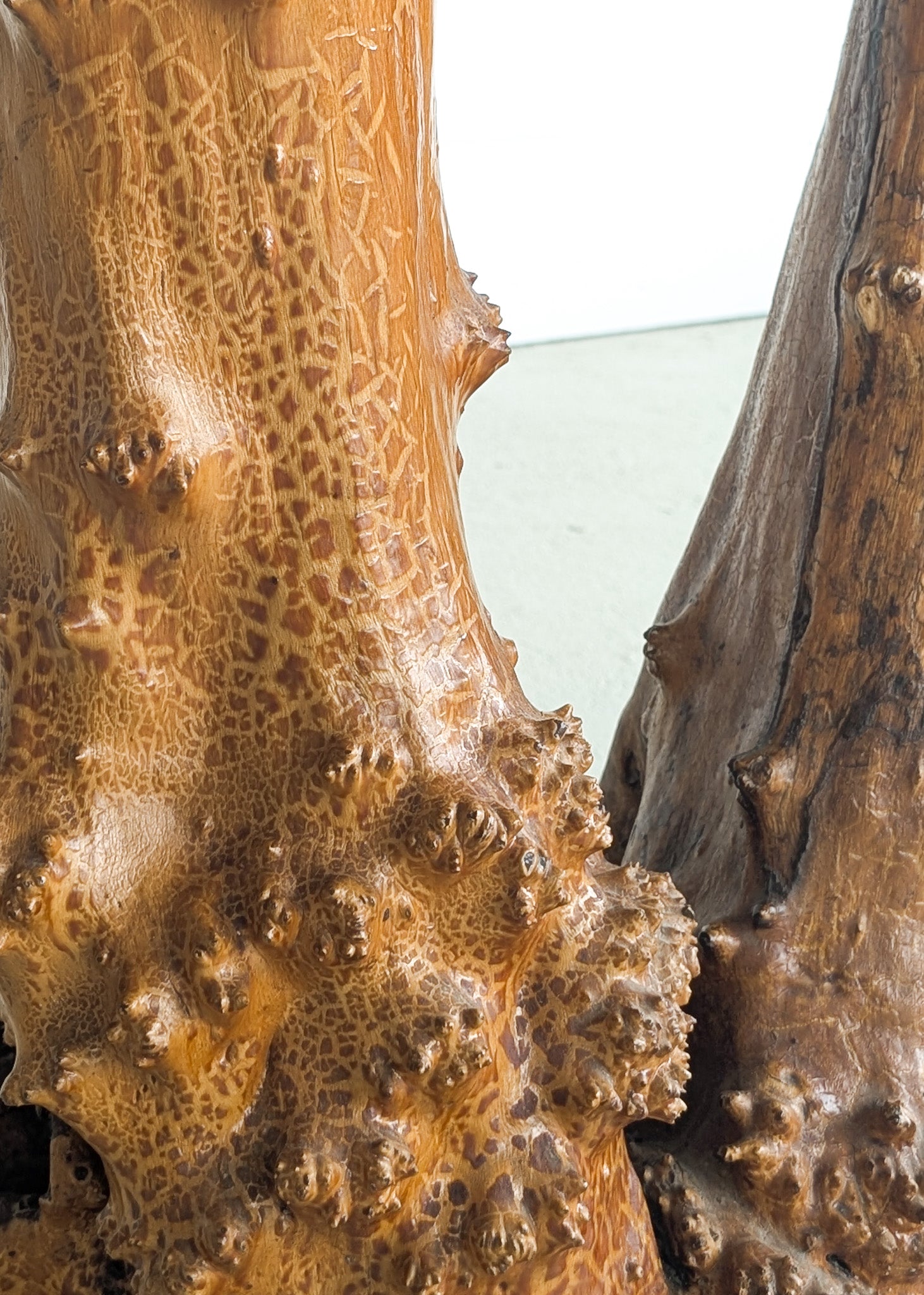 Vintage Burl Wood Console or Tall Side Table with Burl Root Base