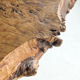 Vintage Burl Wood Console or Tall Side Table with Burl Root Base