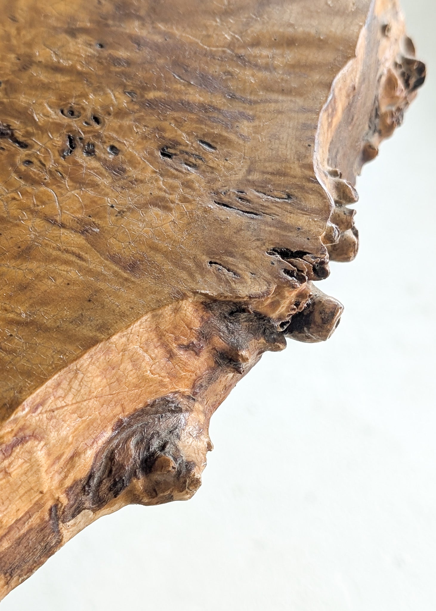 Vintage Burl Wood Console or Tall Side Table with Burl Root Base