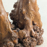 Vintage Burl Wood Console or Tall Side Table with Burl Root Base