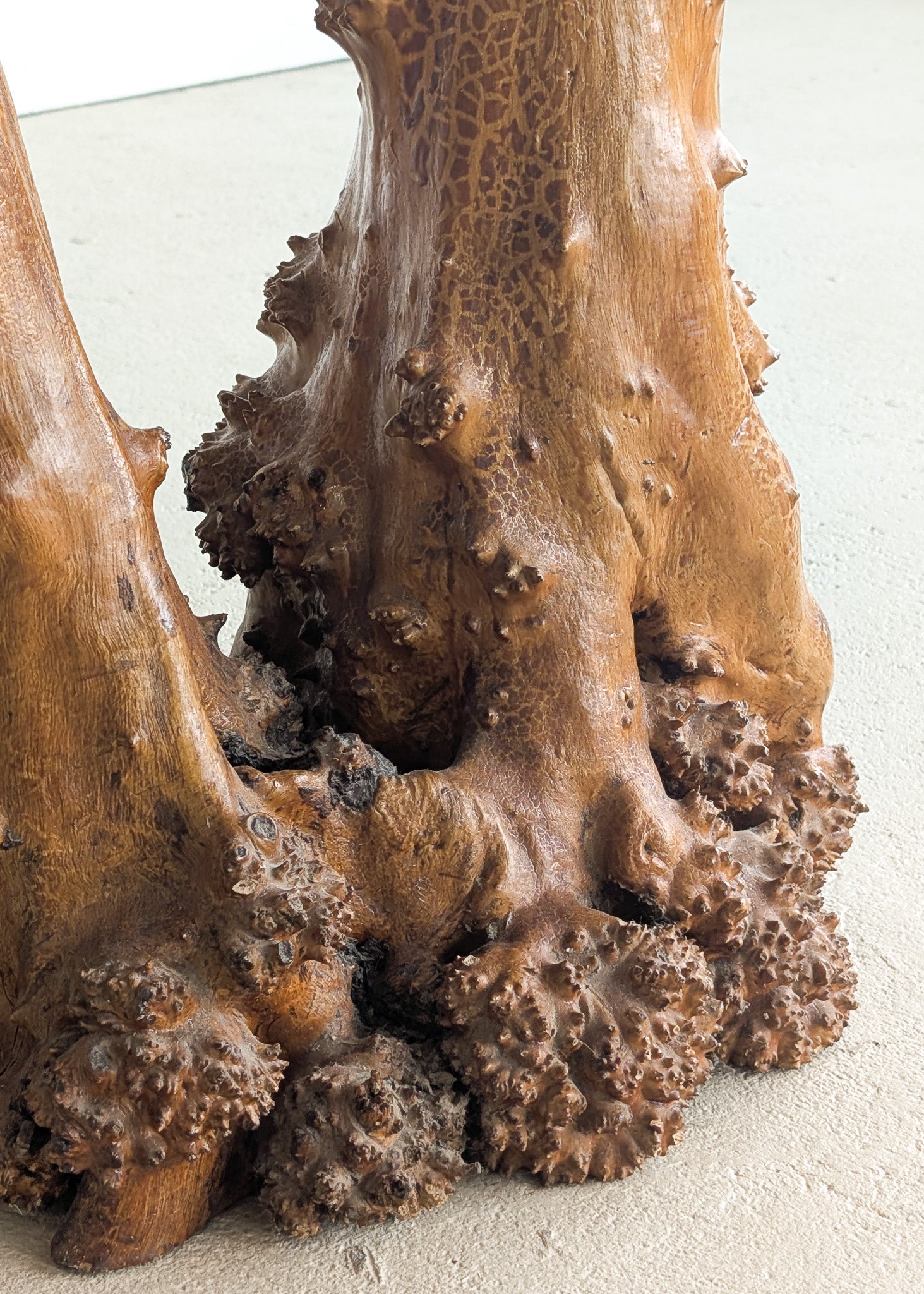 Vintage Burl Wood Console or Tall Side Table with Burl Root Base