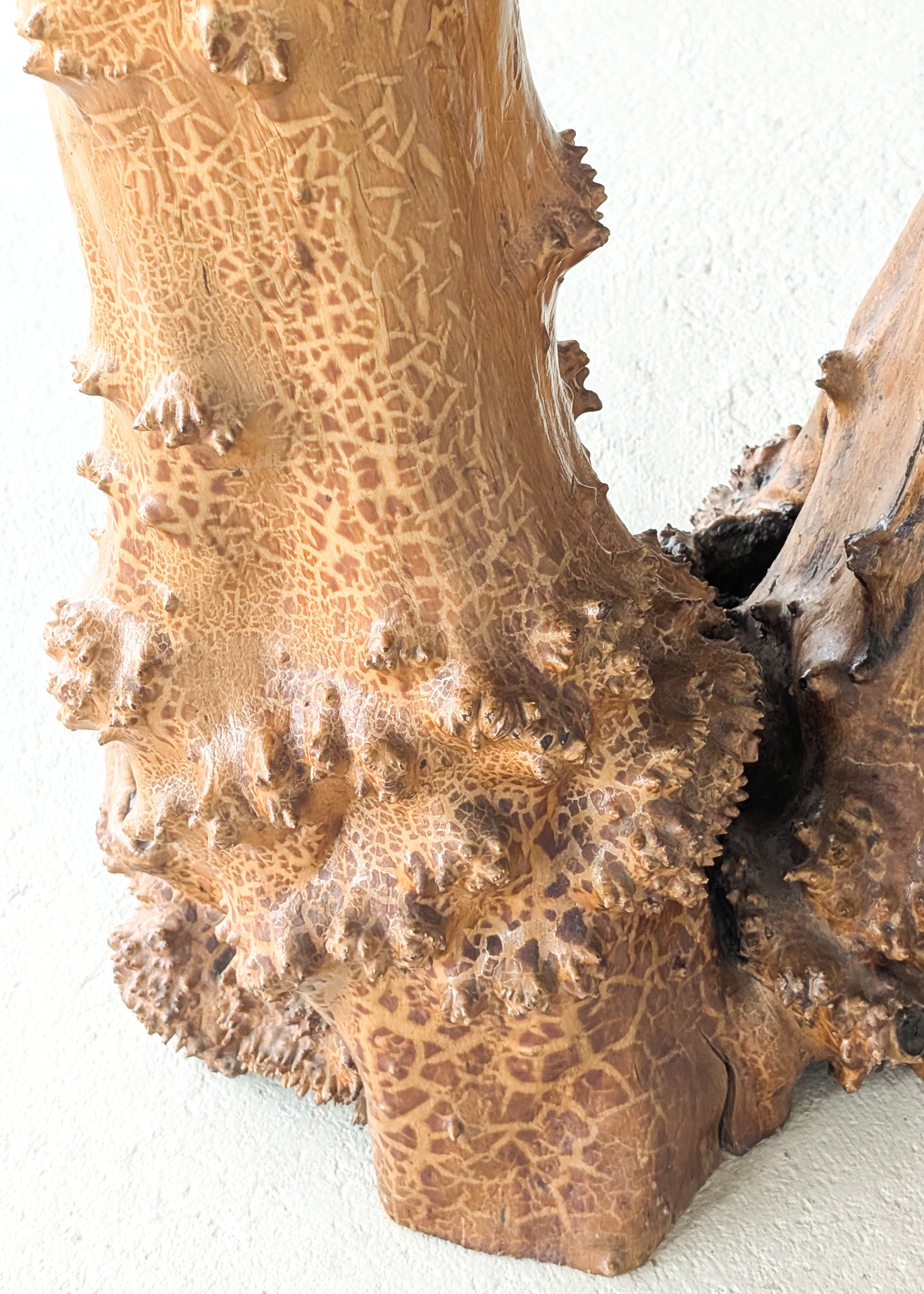 Vintage Burl Wood Console or Tall Side Table with Burl Root Base