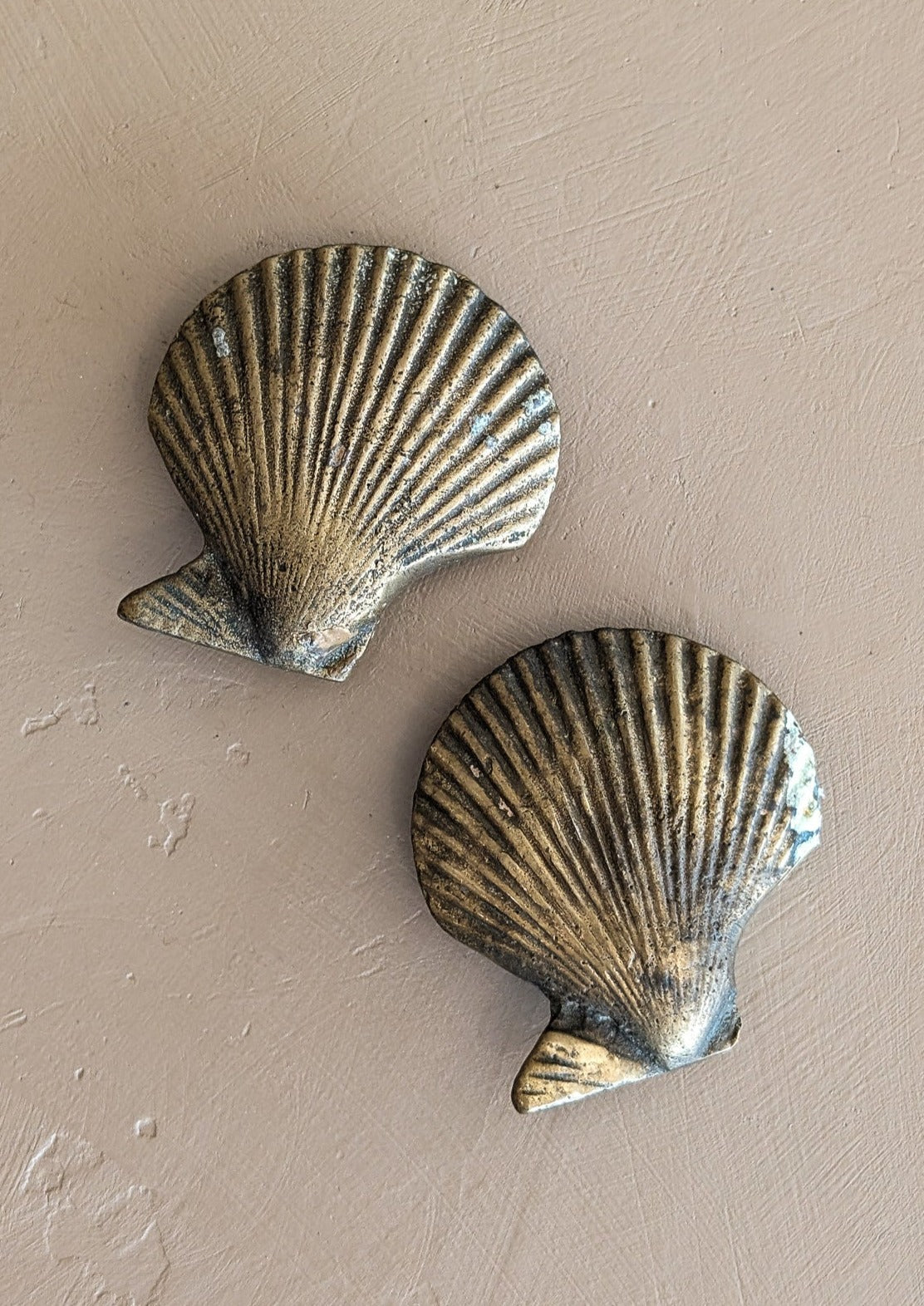 Vintage Solid Brass Scallop Shell