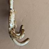 Unique Neutral Speckled Studio Pottery Wall Hook