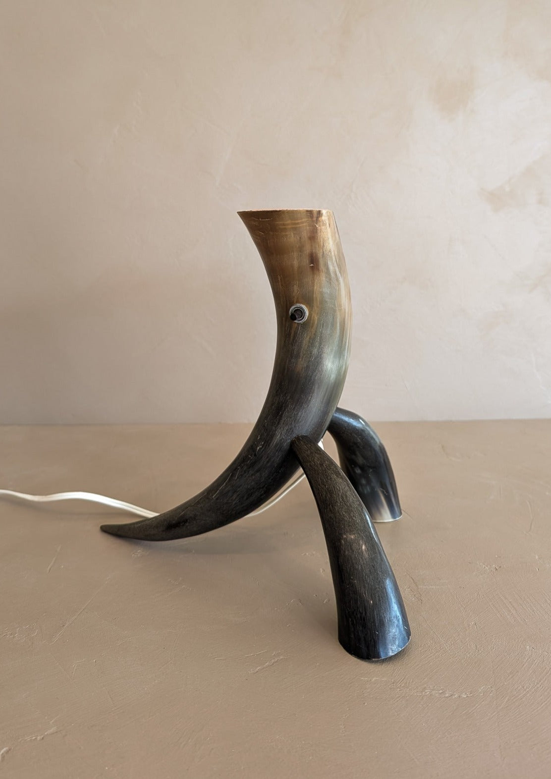 Unique Vintage Handmade Horn Lamp