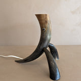 Unique Vintage Handmade Horn Lamp