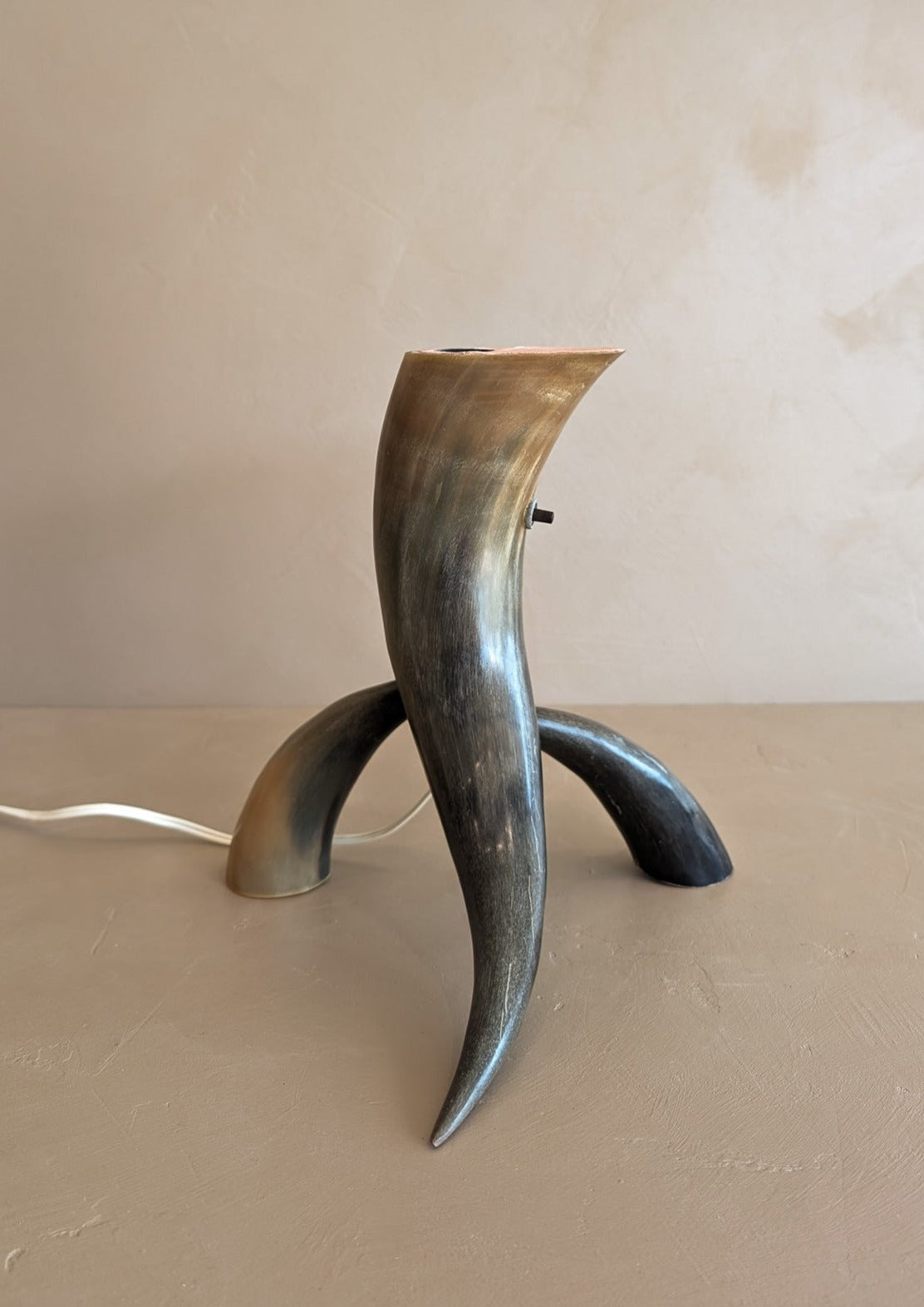 Unique Vintage Handmade Horn Lamp