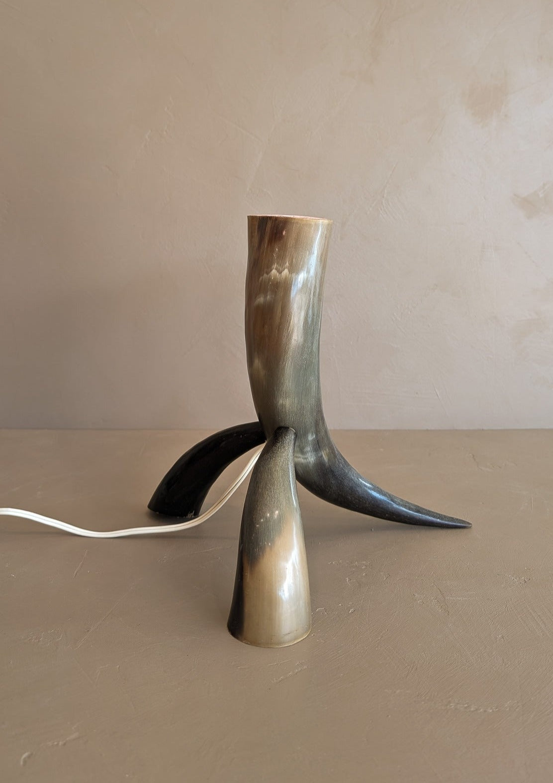 Unique Vintage Handmade Horn Lamp