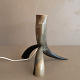 Unique Vintage Handmade Horn Lamp