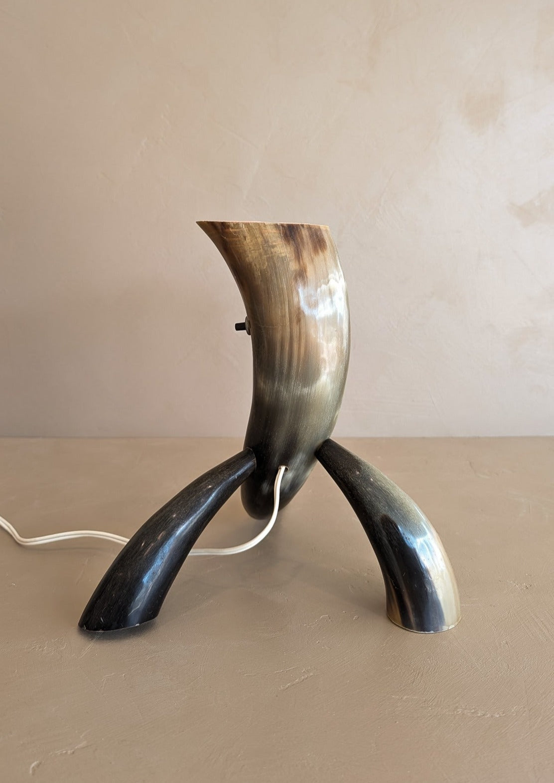 Unique Vintage Handmade Horn Lamp