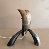 Unique Vintage Handmade Horn Lamp