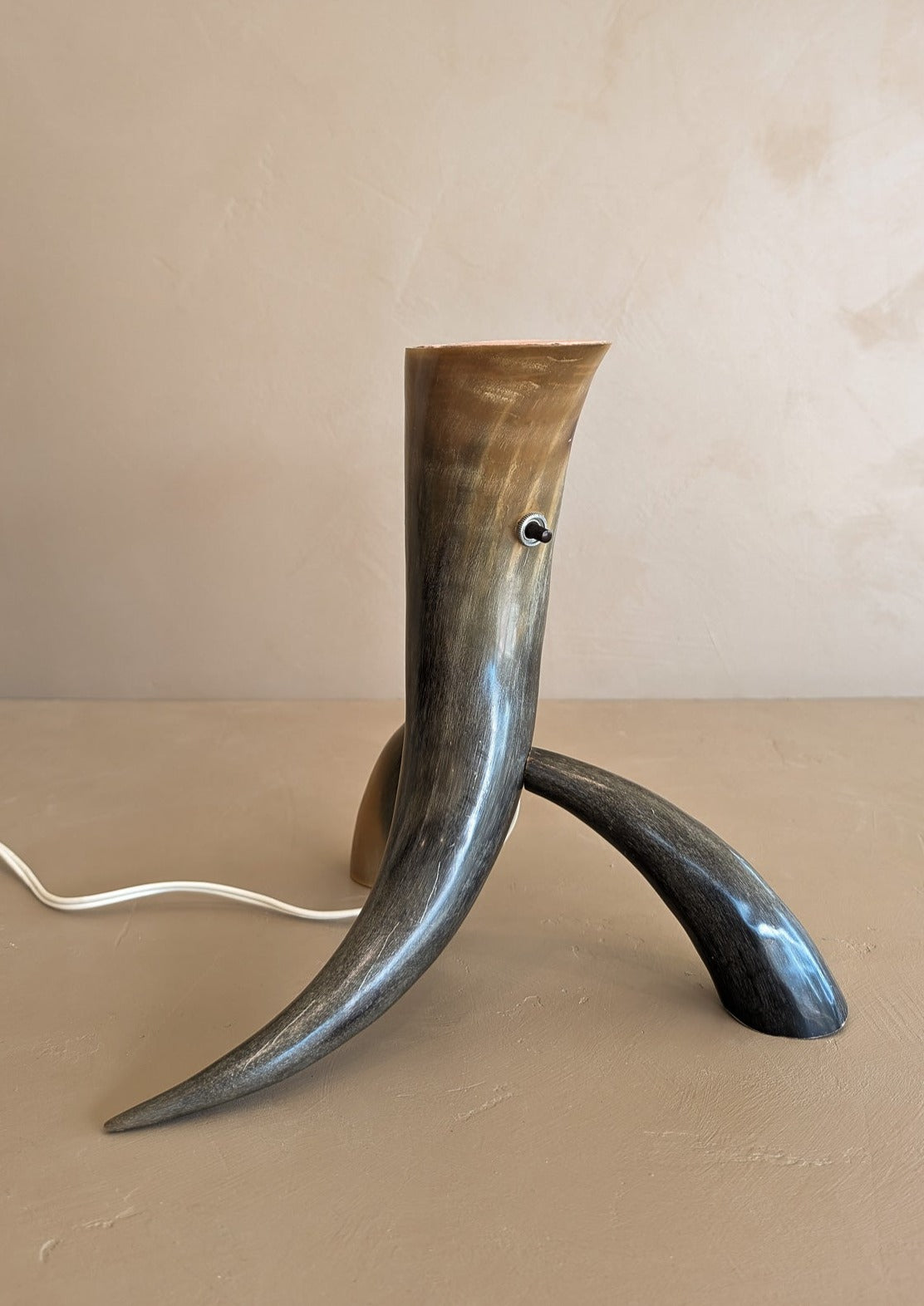 Unique Vintage Handmade Horn Lamp