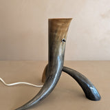 Unique Vintage Handmade Horn Lamp