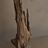 Vintage Driftwood Lamp and Original Textured Shade