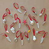 Set of 22 Assorted Shell Ornaments