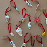 Set of 22 Assorted Shell Ornaments