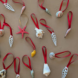 Set of 22 Assorted Shell Ornaments