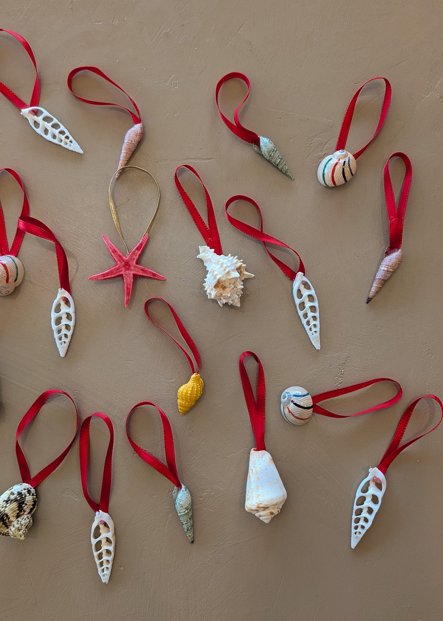 Set of 22 Assorted Shell Ornaments