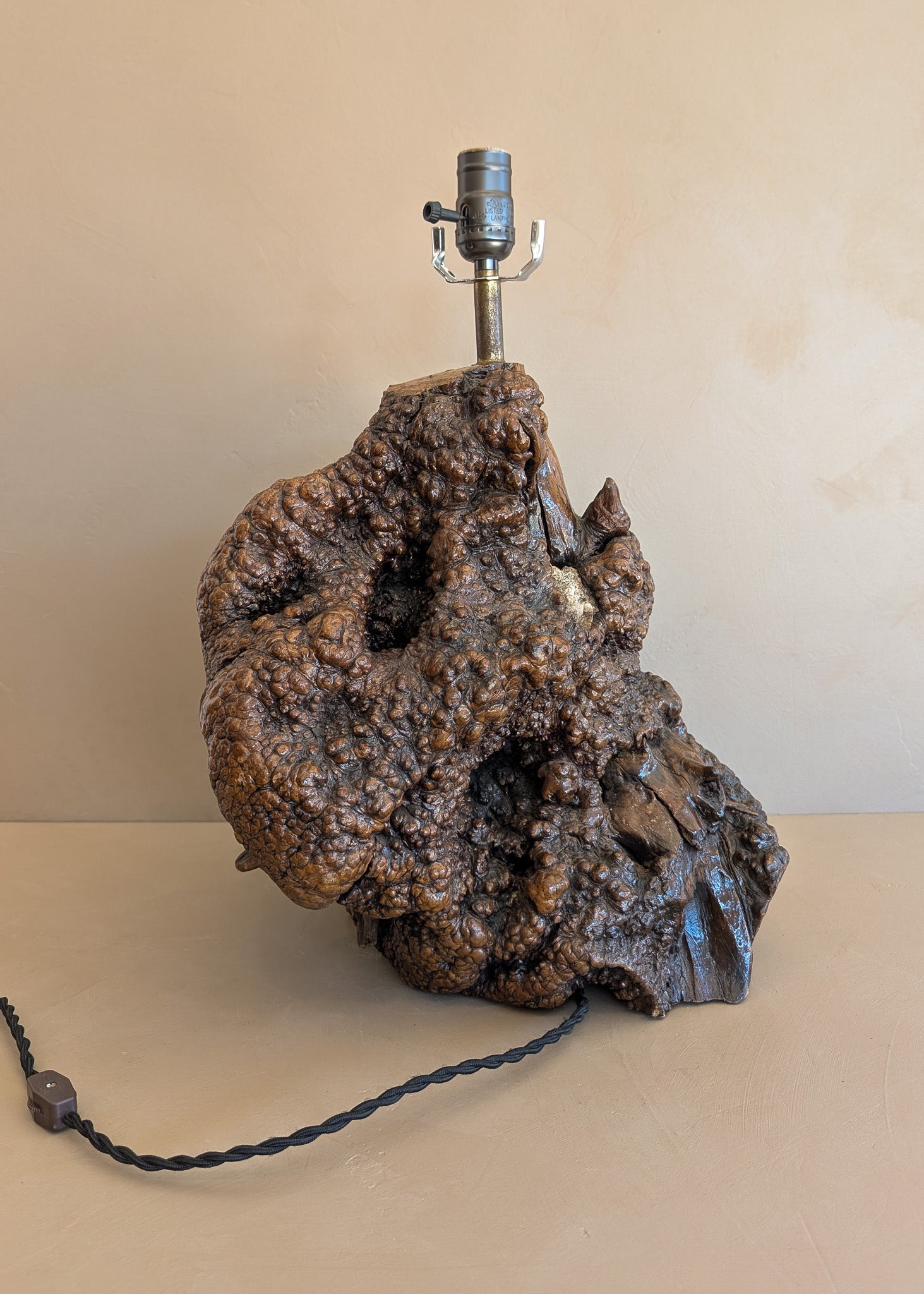 Unique Vintage Burl Lamp with Stone Inclusions