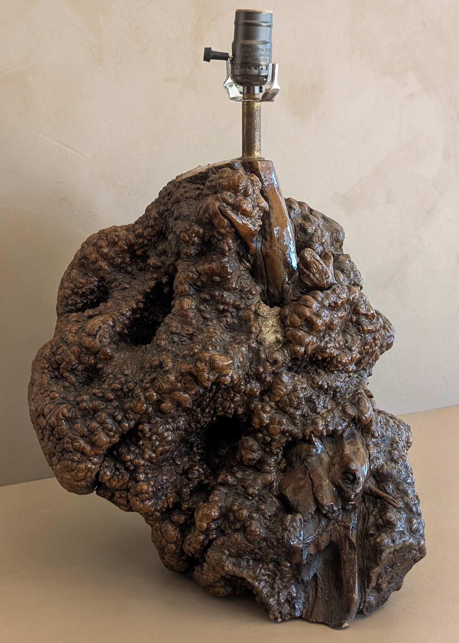 Unique Vintage Burl Lamp with Stone Inclusions