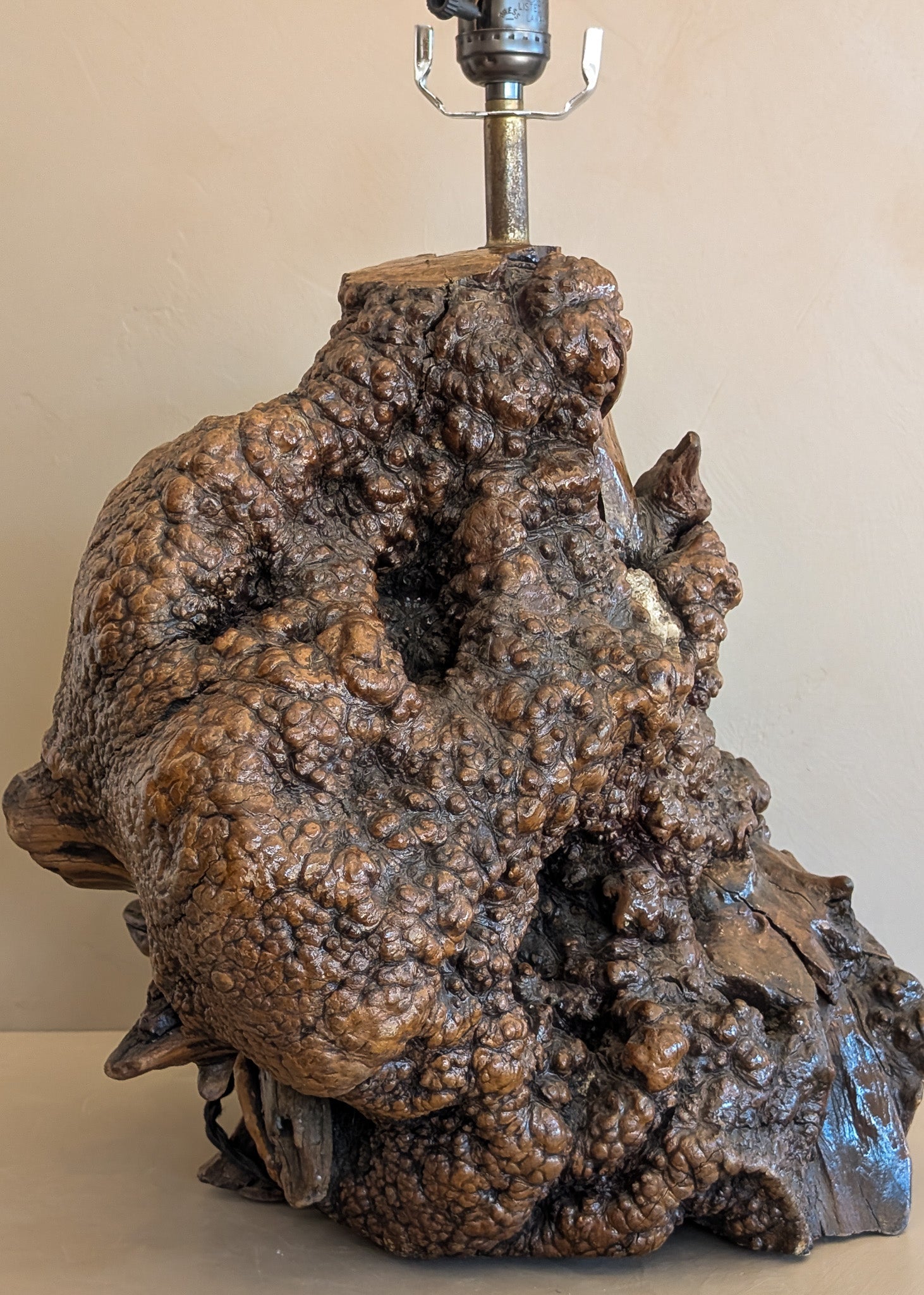 Unique Vintage Burl Lamp with Stone Inclusions