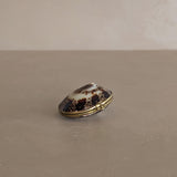 Polished Limpet Shell Trinket Box