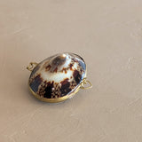 Polished Limpet Shell Trinket Box