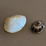 Mother of Pearl Shell Trinket Box