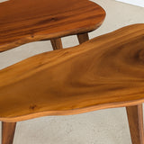 Pair of Vintage Handmade Wooden Freeform Biomorphic Side Tables