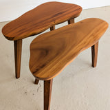 Pair of Vintage Handmade Wooden Freeform Biomorphic Side Tables