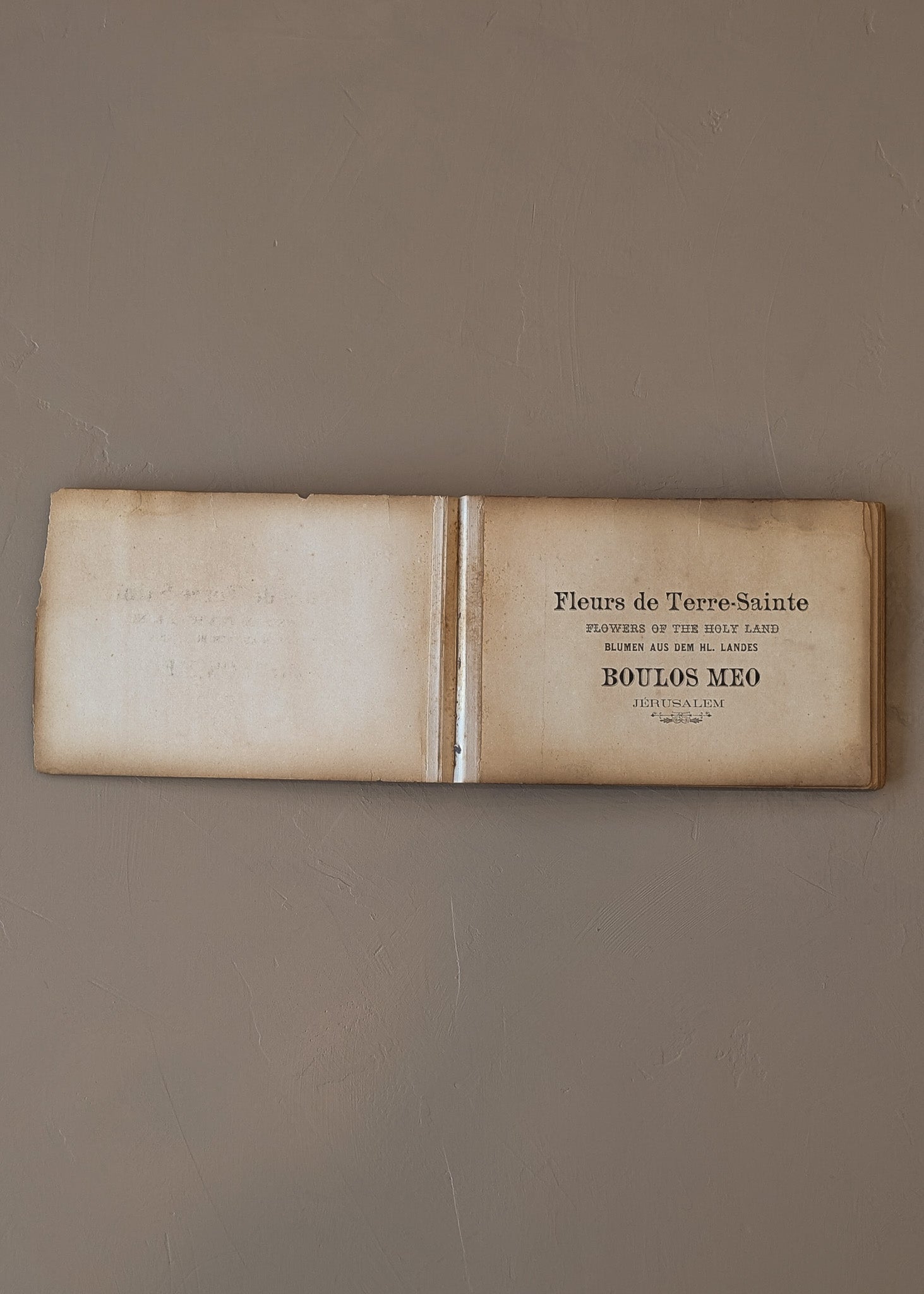 Late 1800s Antique "Flowers of the Holy Land" Pressed Flower Herbarium Book from 1871