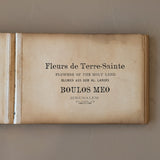 Late 1800s Antique "Flowers of the Holy Land" Pressed Flower Herbarium Book from 1871