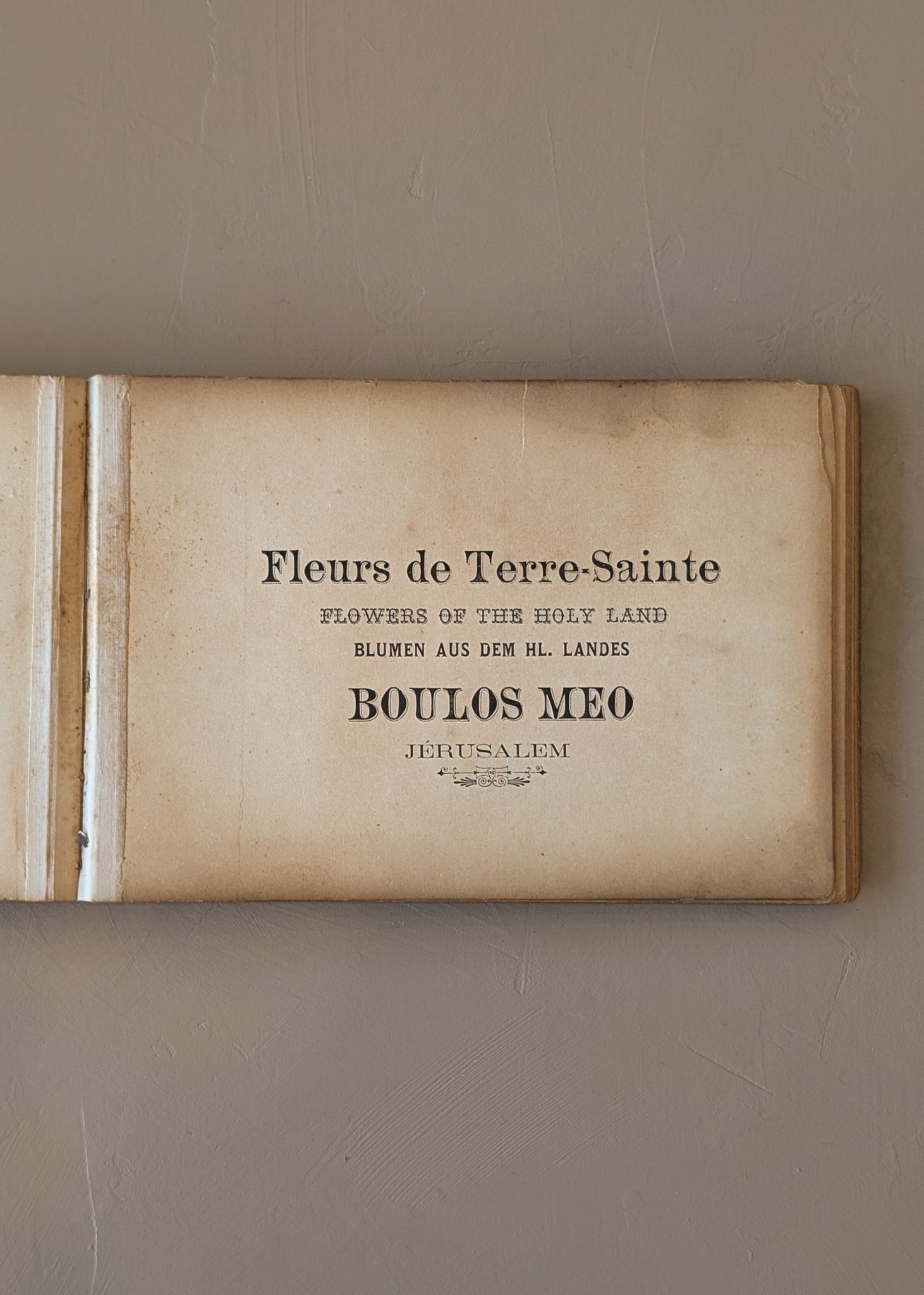 Late 1800s Antique "Flowers of the Holy Land" Pressed Flower Herbarium Book from 1871