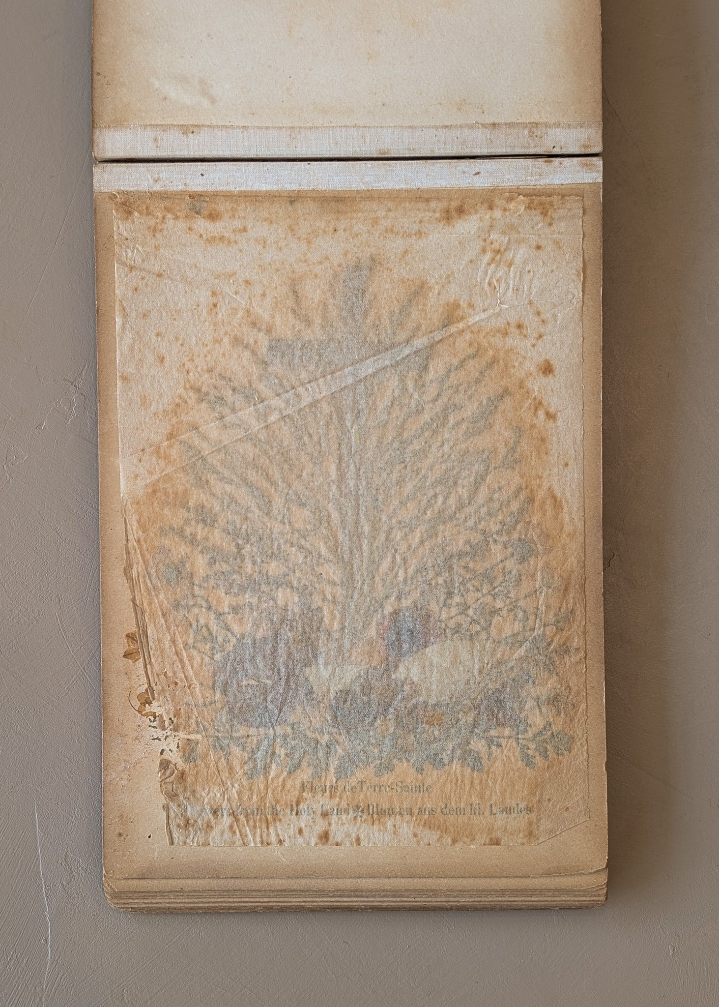 Late 1800s Antique "Flowers of the Holy Land" Pressed Flower Herbarium Book from 1871