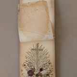 Late 1800s Antique "Flowers of the Holy Land" Pressed Flower Herbarium Book from 1871