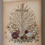 Late 1800s Antique "Flowers of the Holy Land" Pressed Flower Herbarium Book from 1871