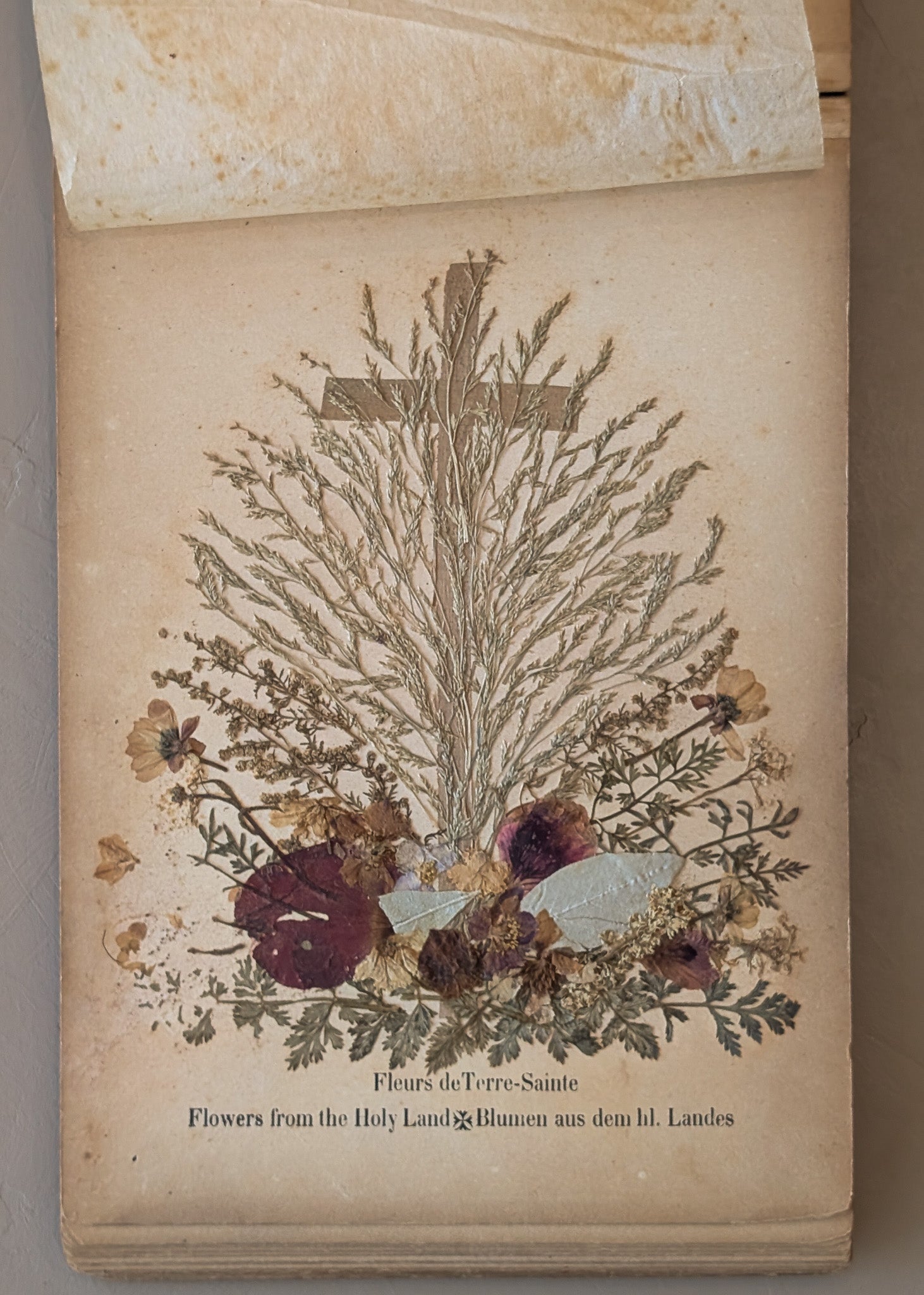 Late 1800s Antique "Flowers of the Holy Land" Pressed Flower Herbarium Book from 1871